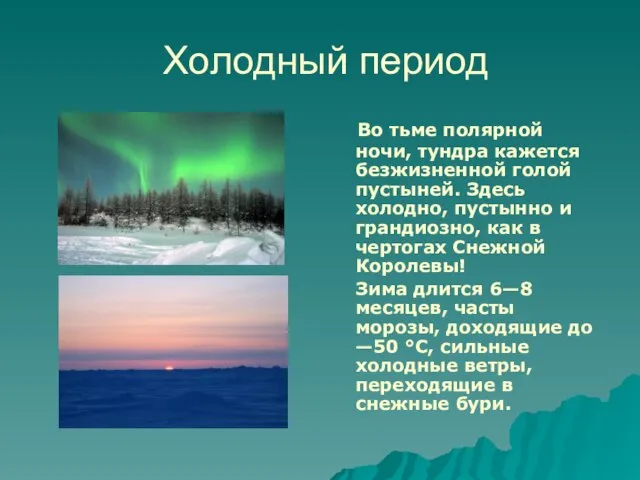 Холодный период Во тьме полярной ночи, тундра кажется безжизненной голой пустыней. Здесь