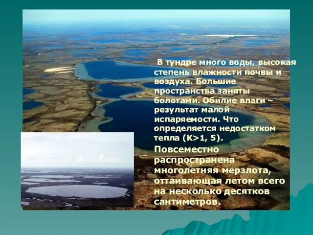 В тундре много воды, высокая степень влажности почвы и воздуха. Большие пространства