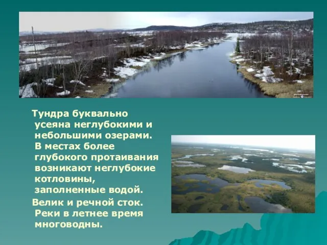 Тундра буквально усеяна неглубокими и небольшими озерами. В местах более глубокого протаивания