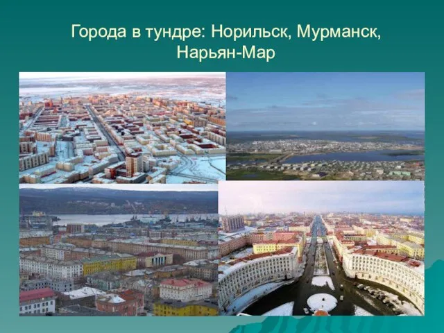 Города в тундре: Норильск, Мурманск, Нарьян-Мар