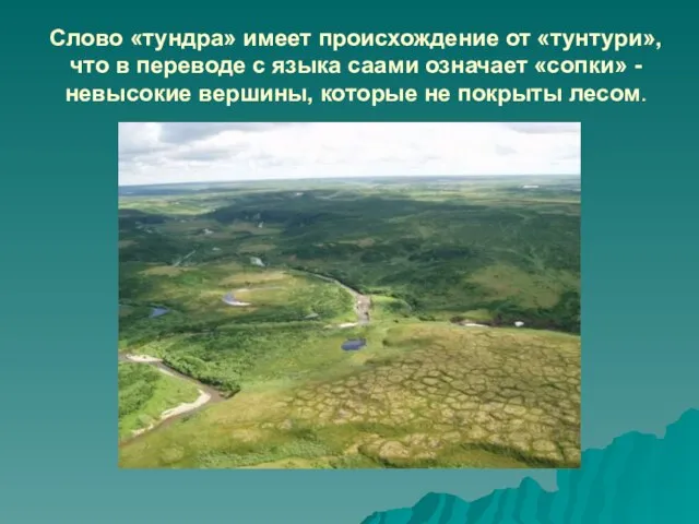 Слово «тундра» имеет происхождение от «тунтури», что в переводе с языка саами