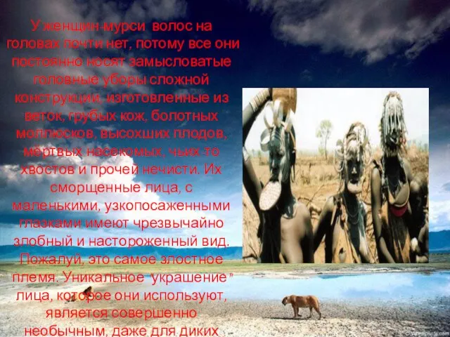 У женщин-мурси волос на головах почти нет, потому все они постоянно носят