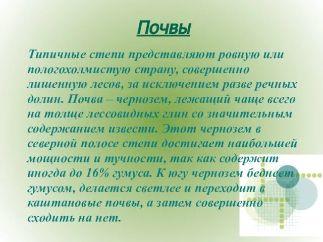 Почвы Типичные степи представляют ровную или пологохолмистую страну, совершенно лишенную лесов, за