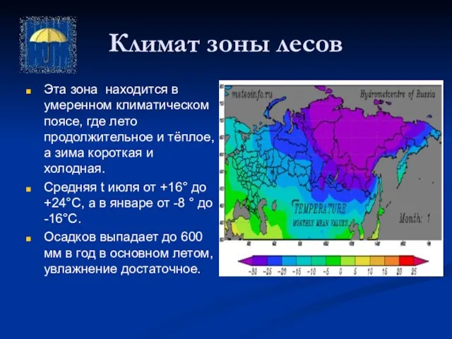 Климат зоны лесов Эта зона находится в умеренном климатическом поясе, где лето