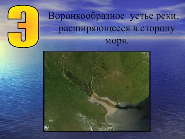 Воронкообразное устье реки, расширяющееся в сторону моря. Э