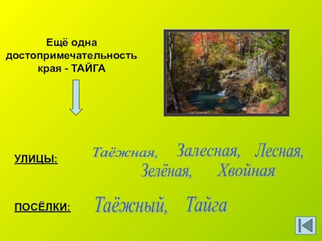 Ещё одна достопримечательность края - ТАЙГА Таёжная, Зелёная, Лесная, Залесная, Хвойная Таёжный, Тайга УЛИЦЫ: ПОСЁЛКИ: