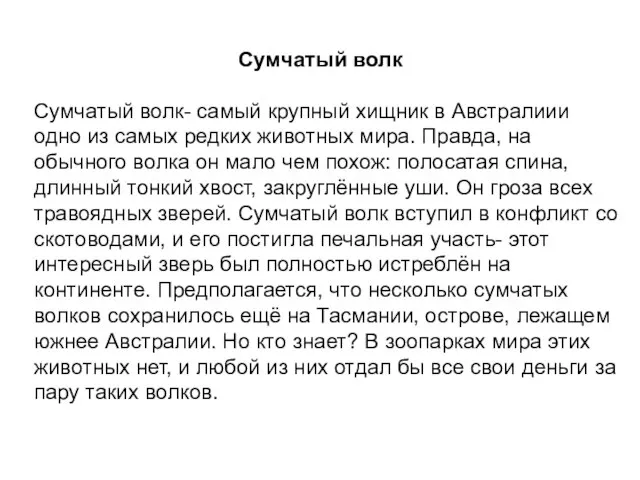 Сумчатый волк Сумчатый волк- самый крупный хищник в Австралиии одно из самых