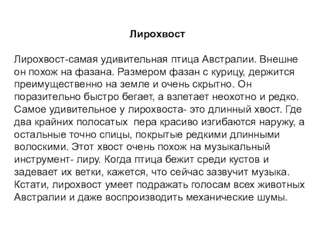 Лирохвост Лирохвост-самая удивительная птица Австралии. Внешне он похож на фазана. Размером фазан