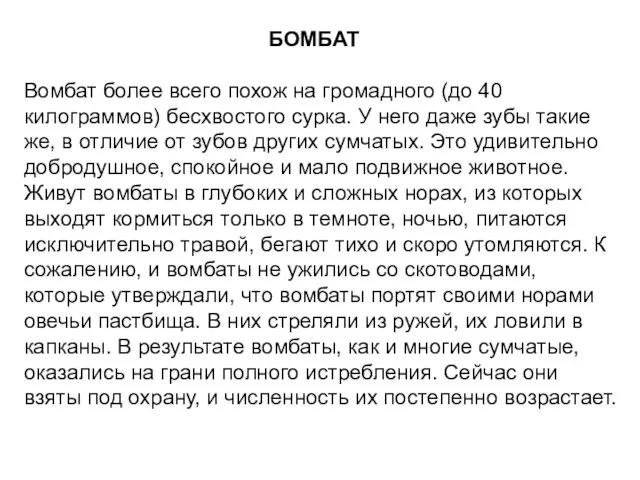 БОМБАТ Вомбат более всего похож на громадного (до 40 килограммов) бесхвостого сурка.