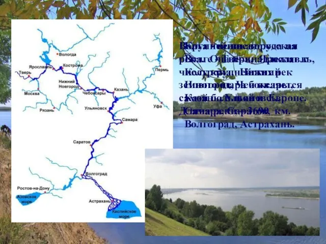 Волга - великая русская река. Она принадлежит к числу крупнейших рек земного