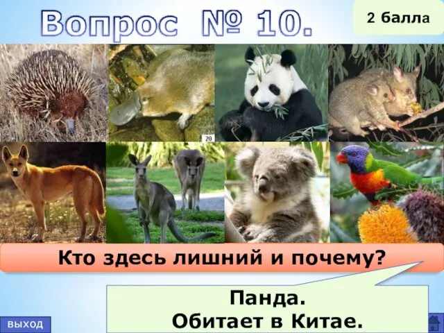 выход 2 балла Кто здесь лишний и почему? Панда. Обитает в Китае.