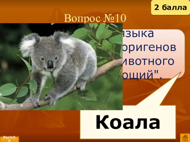 Вопрос №10 В переводе с языка австралийских аборигенов название этого животного означает