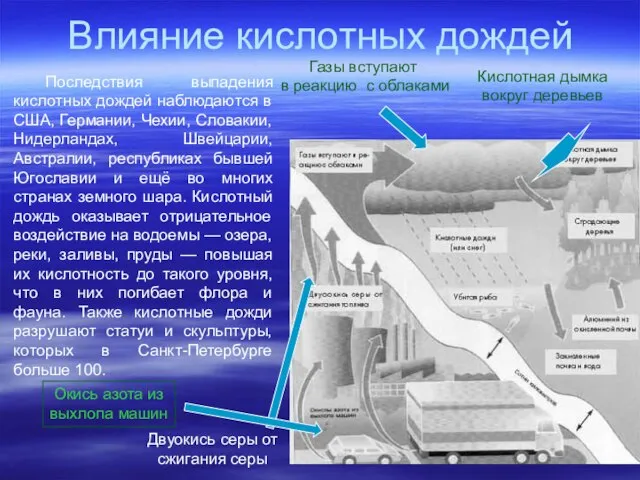 Влияние кислотных дождей Последствия выпадения кислотных дождей наблюдаются в США, Германии, Чехии,