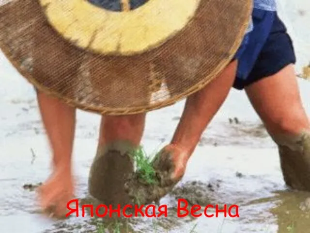 Японская Весна