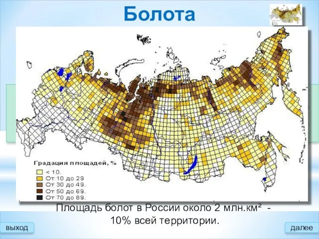 выход далее Болота Причины образования: Большое количество осадков Малое испарение Замедленный сток