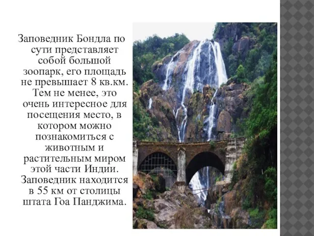 Заповедник Бондла по сути представляет собой большой зоопарк, его площадь не превышает