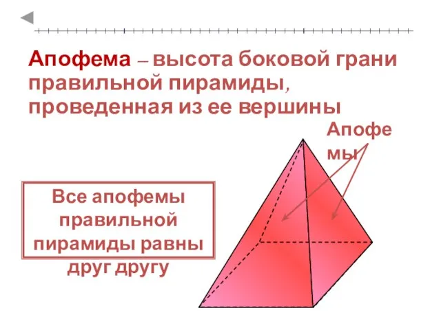 Апофема – высота боковой грани правильной пирамиды, проведенная из ее вершины Все