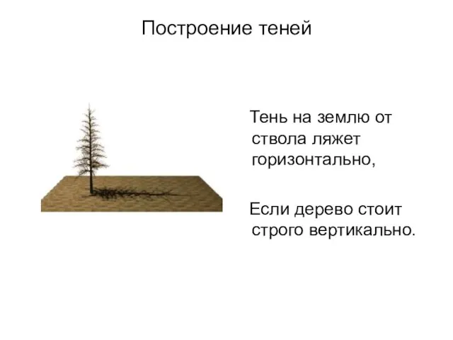 Построение теней Тень на землю от ствола ляжет горизонтально, Если дерево стоит строго вертикально.