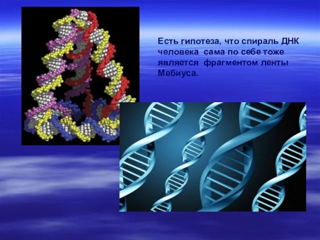 Есть гипотеза, что спираль ДНК человека сама по себе тоже является фрагментом ленты Мебиуса.