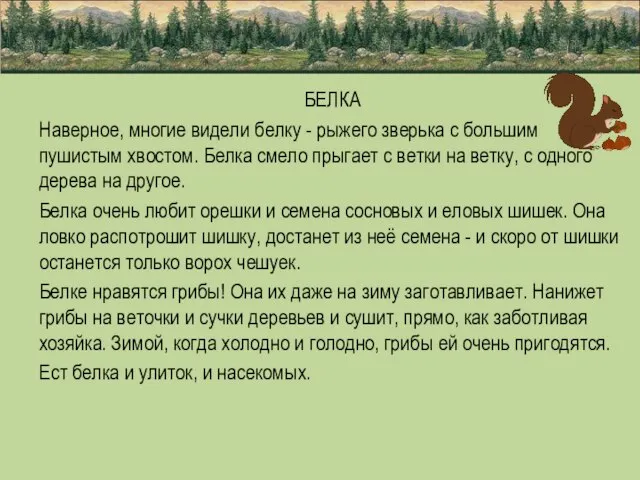 БЕЛКА Наверное, многие видели белку - рыжего зверька с большим пушистым хвостом.