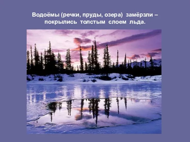 Водоёмы (речки, пруды, озера) замёрзли – покрылись толстым слоем льда.