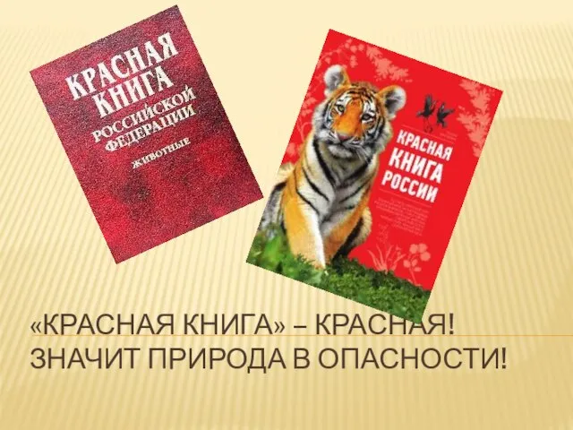 «Красная книга» – Красная! Значит природа в опасности!