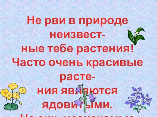 Не рви в природе неизвест- ные тебе растения! Часто очень красивые расте-