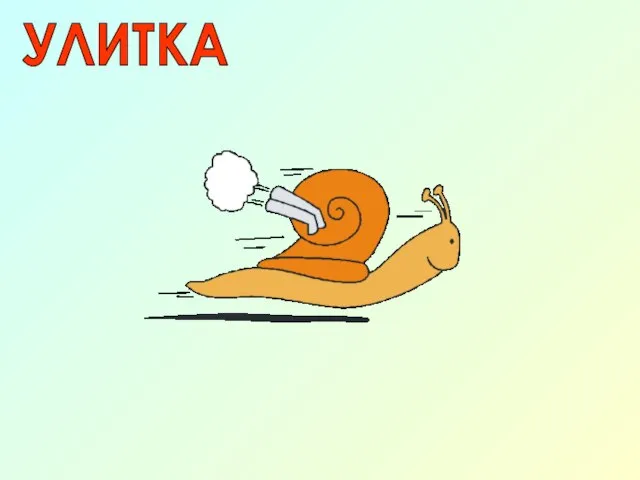 УЛИТКА