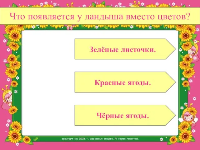 Что появляется у ландыша вместо цветов? Красные ягоды. Чёрные ягоды. Зелёные листочки.