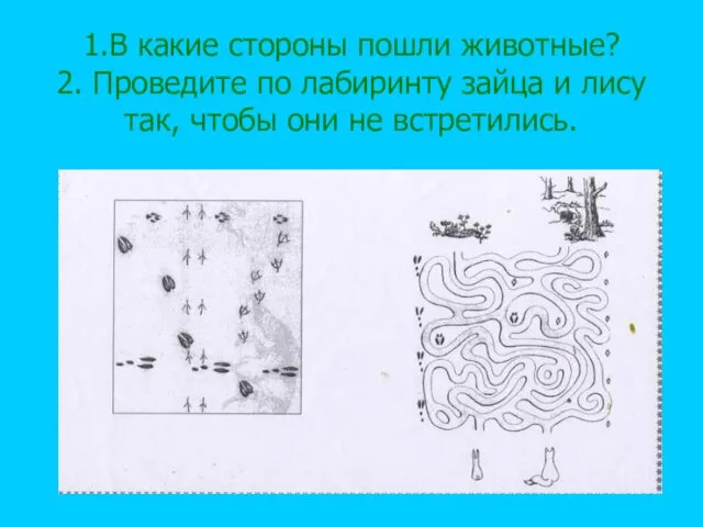 1.В какие стороны пошли животные? 2. Проведите по лабиринту зайца и лису