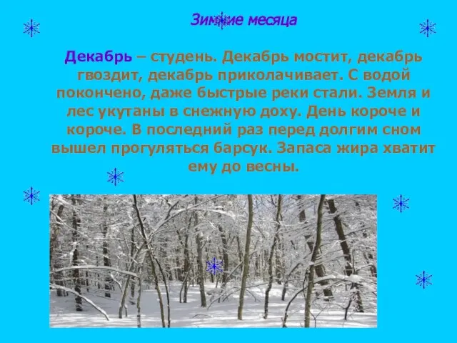 Зимние месяца Декабрь – студень. Декабрь мостит, декабрь гвоздит, декабрь приколачивает. С