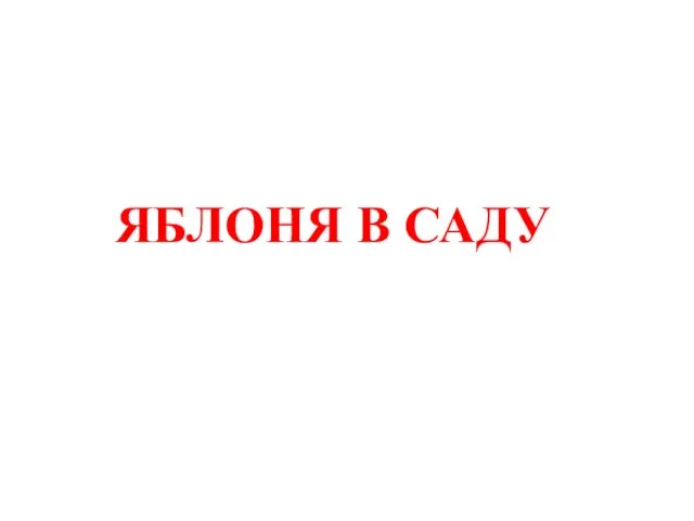 ЯБЛОНЯ В САДУ