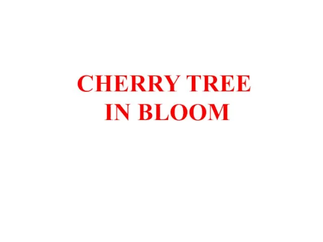 CHERRY TREE IN BLOOM