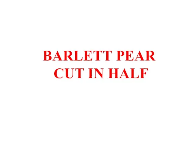 BARLETT PEAR CUT IN HALF