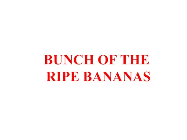 BUNCH OF THE RIPE BANANAS