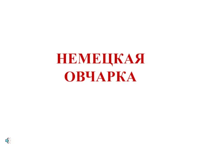 НЕМЕЦКАЯ ОВЧАРКА