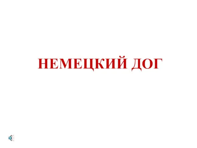 НЕМЕЦКИЙ ДОГ