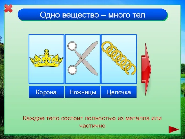 Одно вещество – много тел Каждое тело состоит полностью из металла или частично