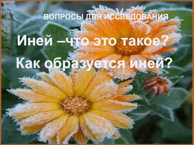 ВОПРОСЫ ДЛЯ ИССЛЕДОВАНИЯ Иней –что это такое? Как образуется иней?