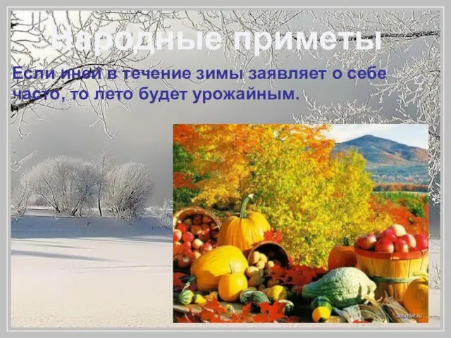 Если иней в течение зимы заявляет о себе часто, то лето будет урожайным. Народные приметы