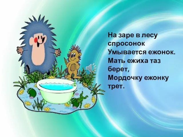 На заре в лесу спросонок Умывается ежонок. Мать ежиха таз берет, Мордочку ежонку трет.