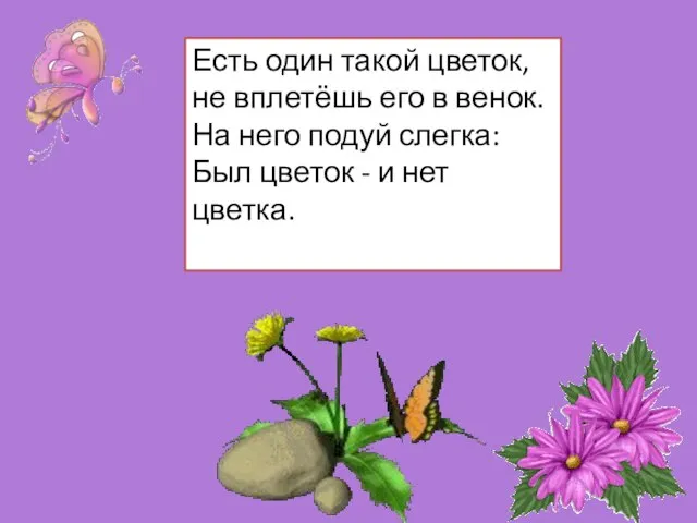 Есть один такой цветок, не вплетёшь его в венок. На него подуй