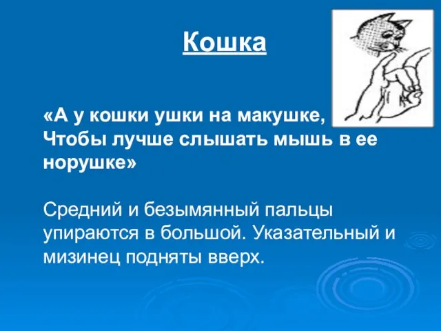 Кошка «А у кошки ушки на макушке, Чтобы лучше слышать мышь в