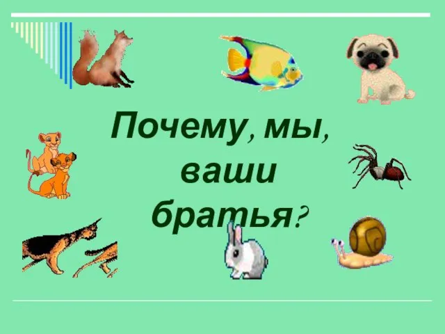 Почему, мы, ваши братья?