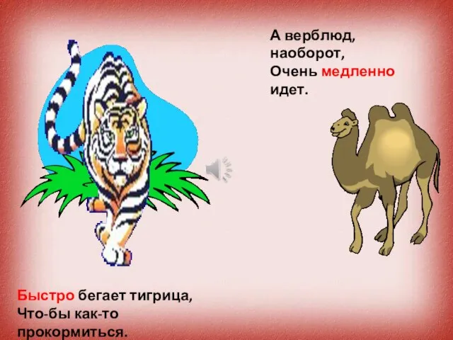 Быстро бегает тигрица, Что-бы как-т прокормиться. Быстро бегает тигрица, Что-бы как-то прокормиться.