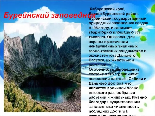 Хабаровский край, Верхнебуреинский район. Буреинский государственный природный заповедник создан в 1987 году,