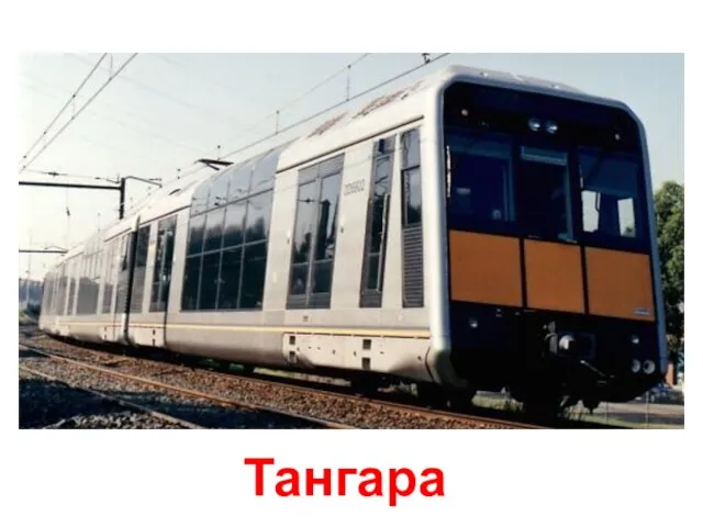 Тангара