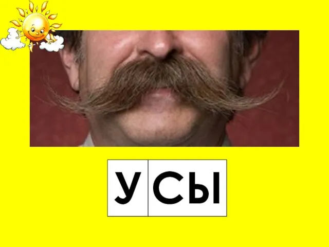 У СЫ