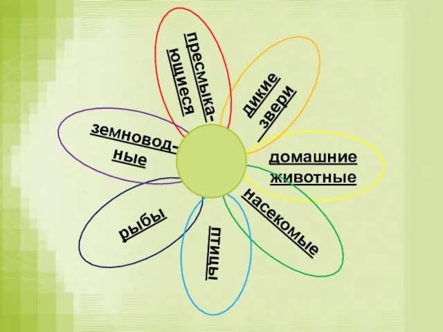 рыбы домашние животные дикие звери насекомые птицы пресмыка-ющиеся земновод- ные