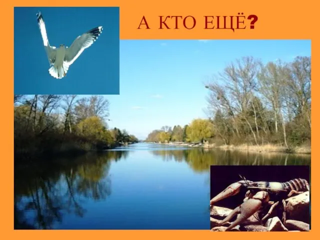 А КТО ЕЩЁ?